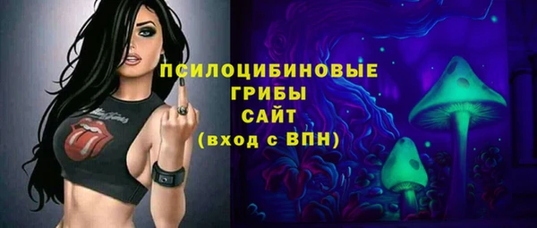 эйфоретик Алзамай