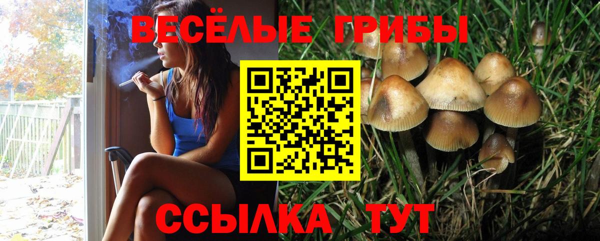 Галлюциногенные грибы мухоморы Кингисепп
