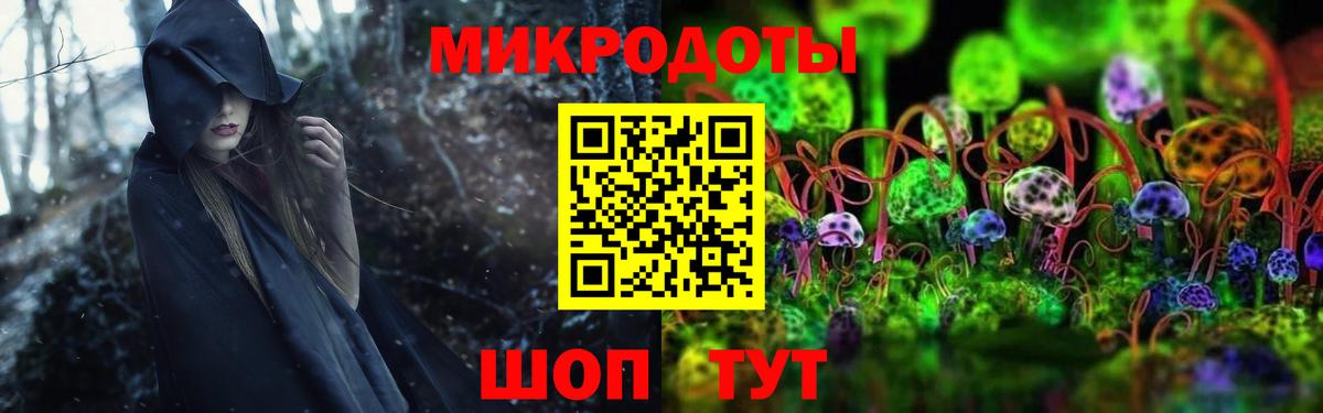 цены наркотик  Псилоцибиновые грибы MAGIC MUSHROOMS  Вход с VPN  Галлюциногенные грибы мухоморы  Кингисепп 
